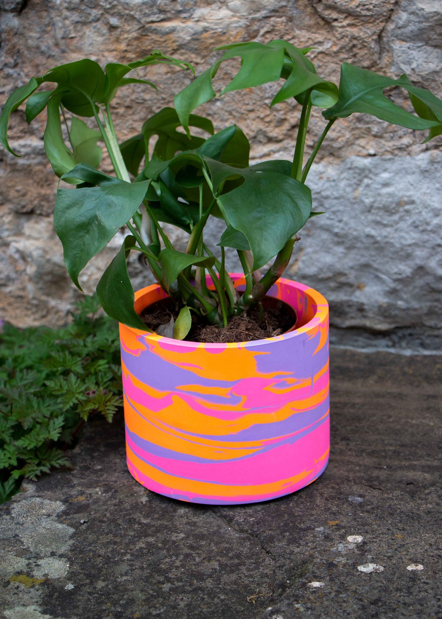 'Peach' medium planter