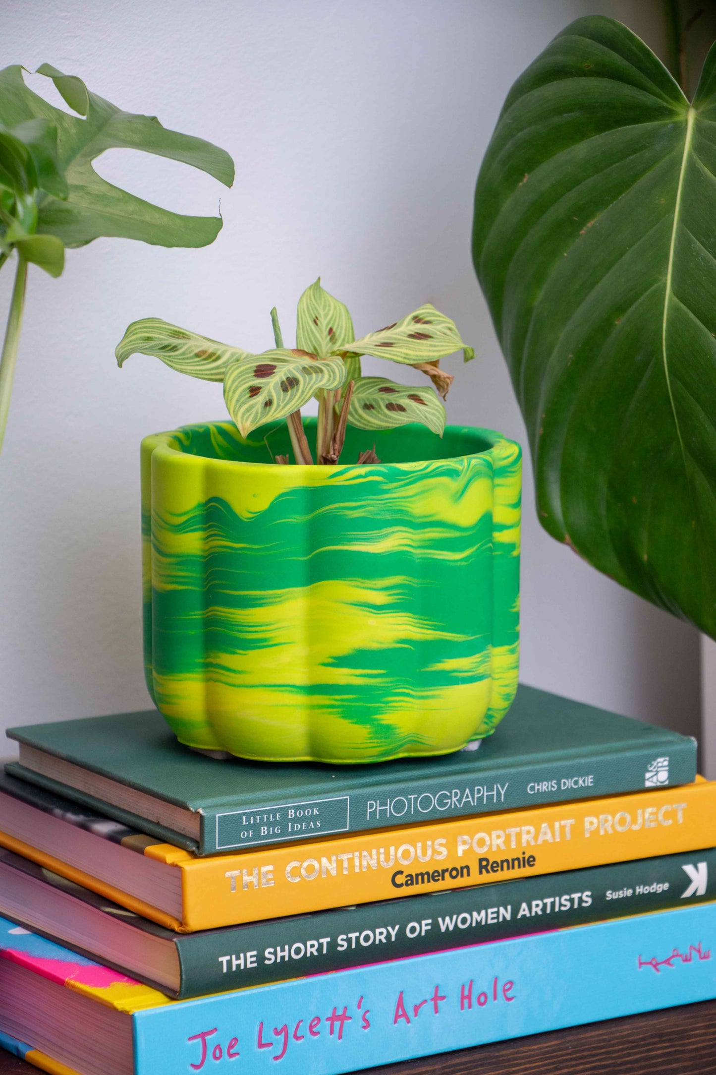 Marble bumpy planter
