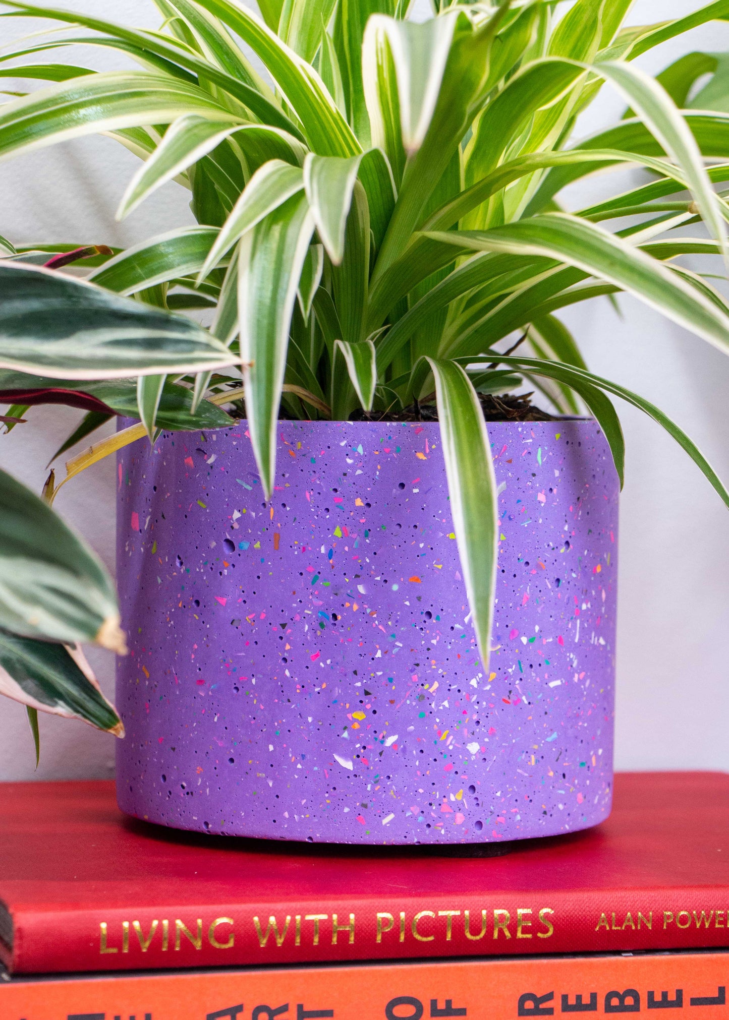 NO WASTE terrazzo planter