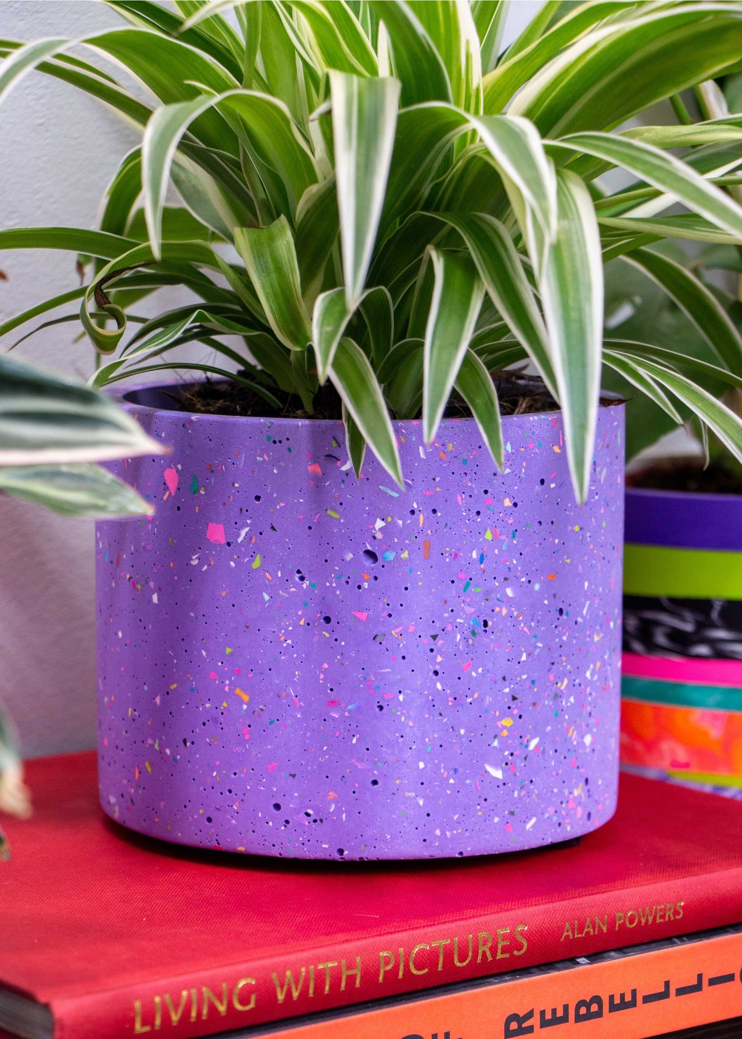 NO WASTE terrazzo planter