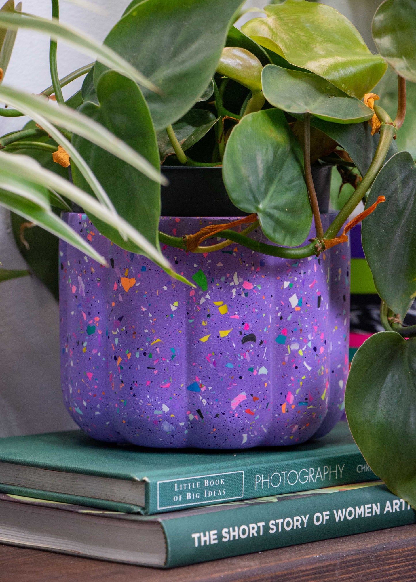 Terrazzo bumpy planter