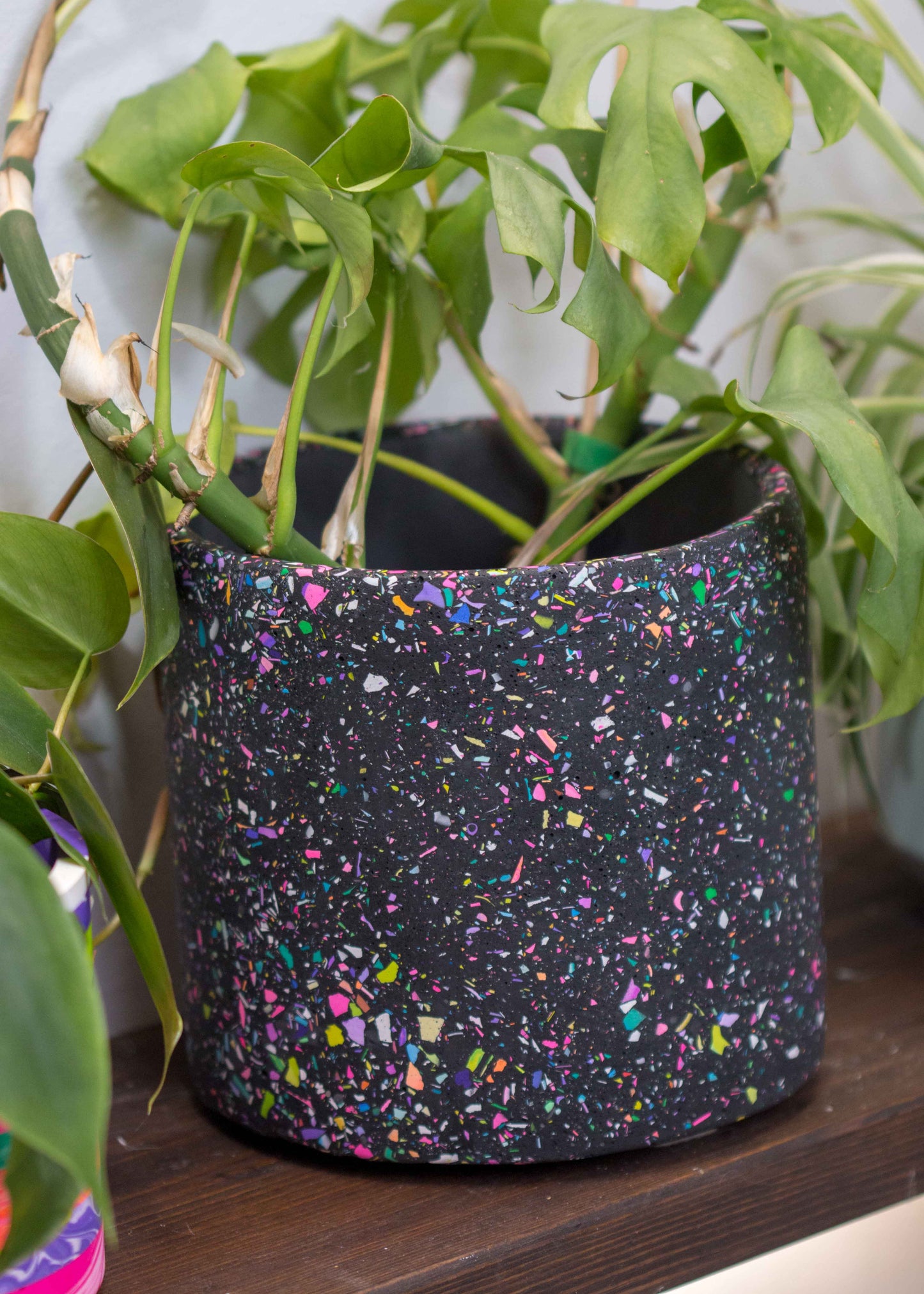 Large NO WASTE terrazzo planter