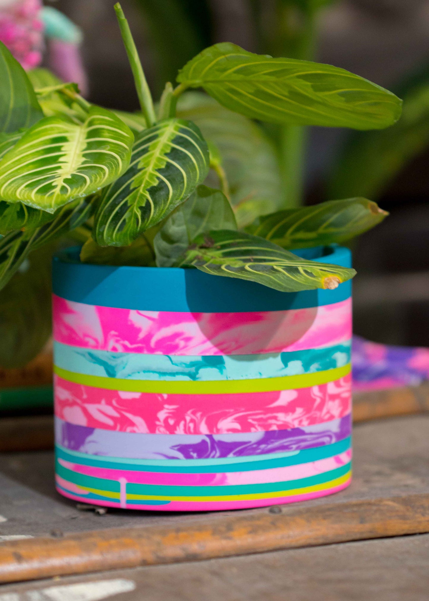 Medium NO WASTE planter