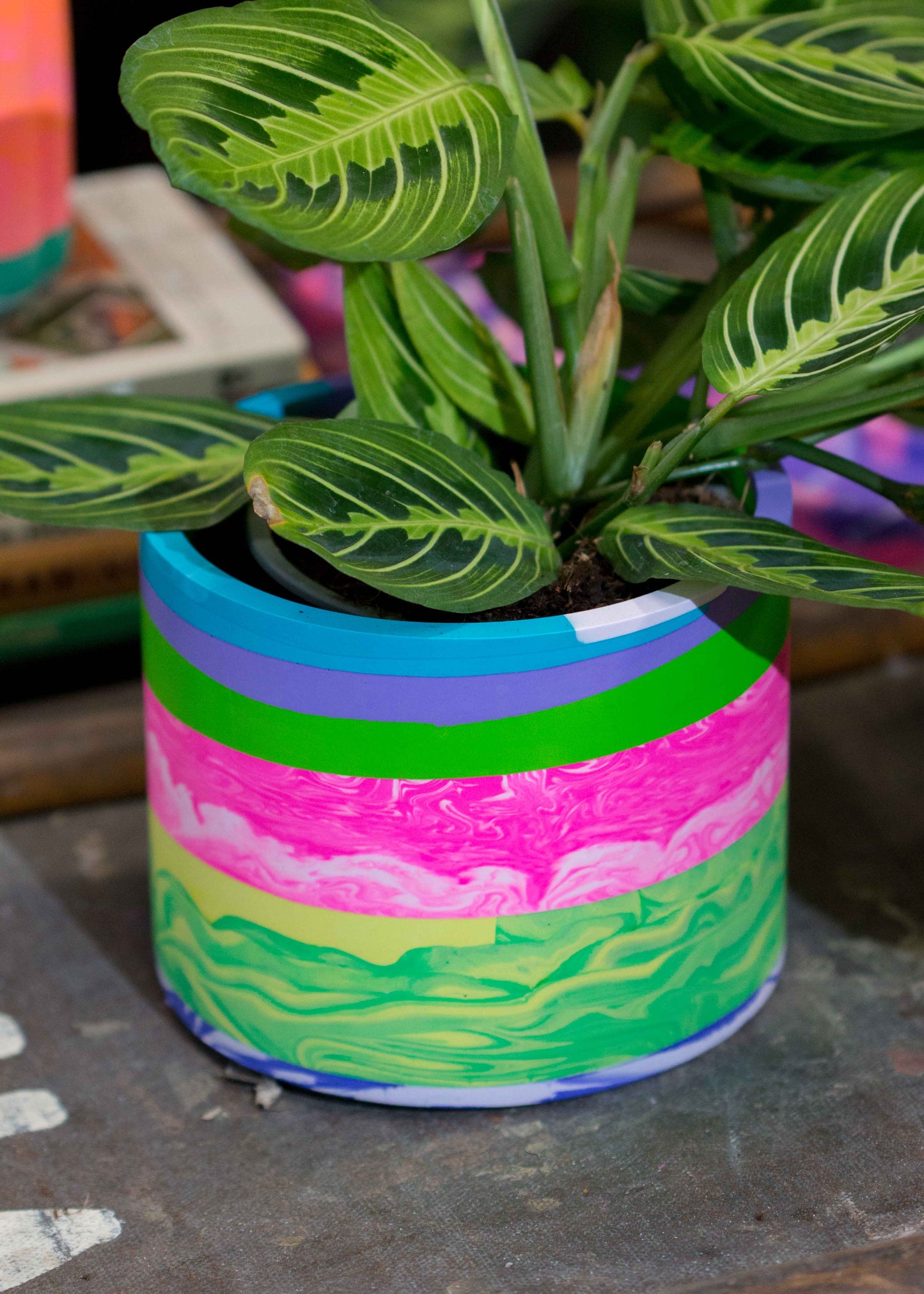 Medium NO WASTE planter