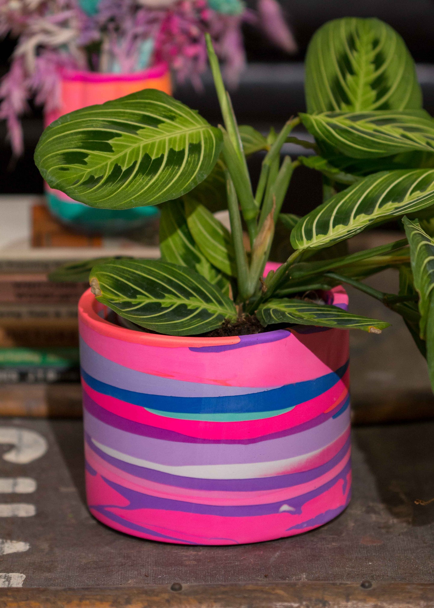 Medium NO WASTE planter