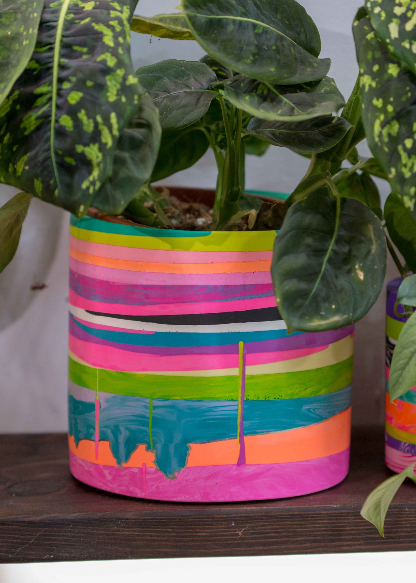 Large NO WASTE planter