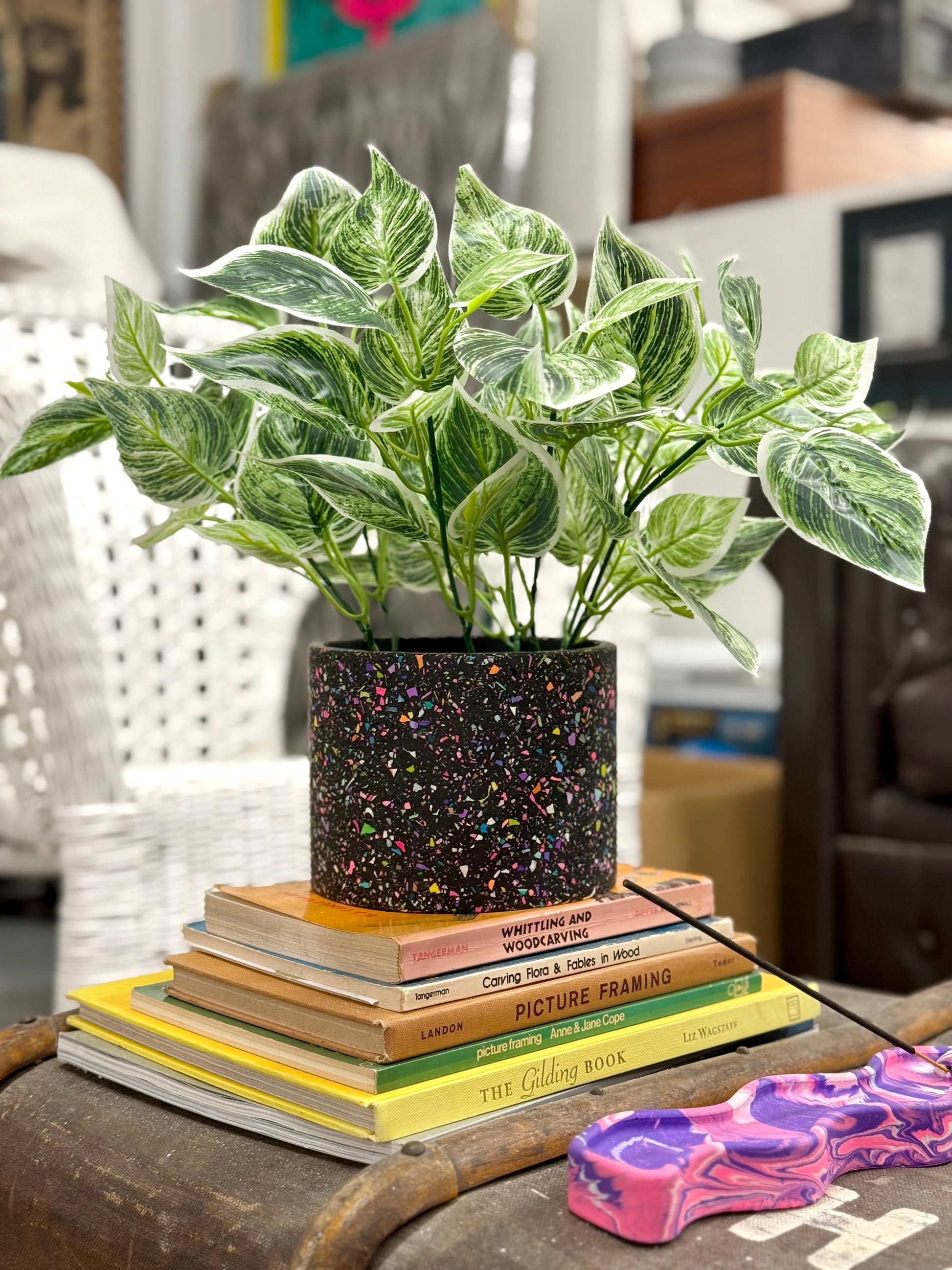 indoor terrazzo planter Black terrazzo planter – AlexMarieArtistry