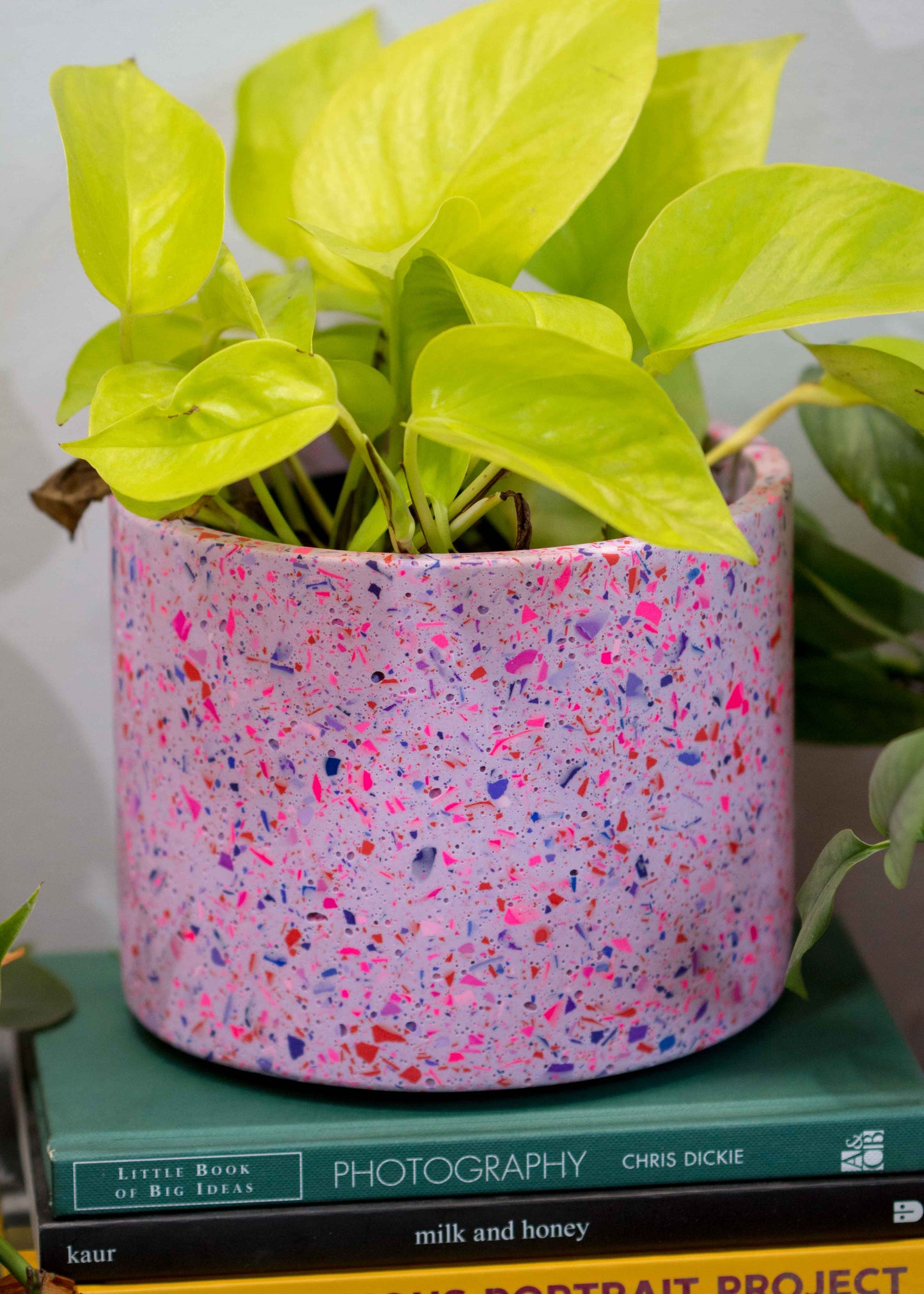 'Lovers' terrazzo planter