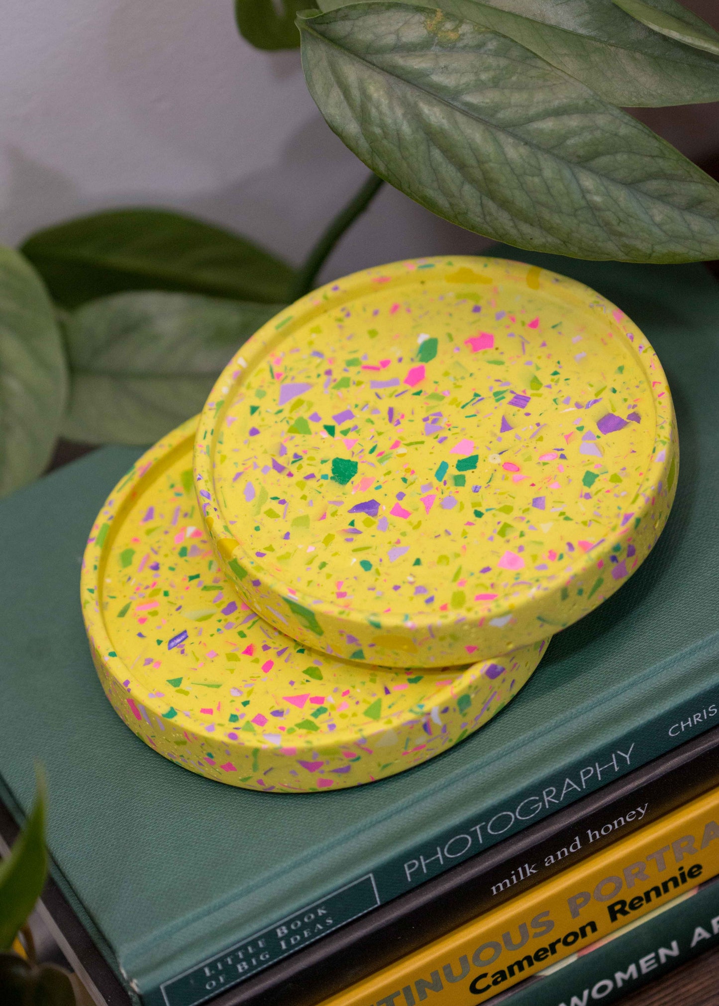 XS circular tray