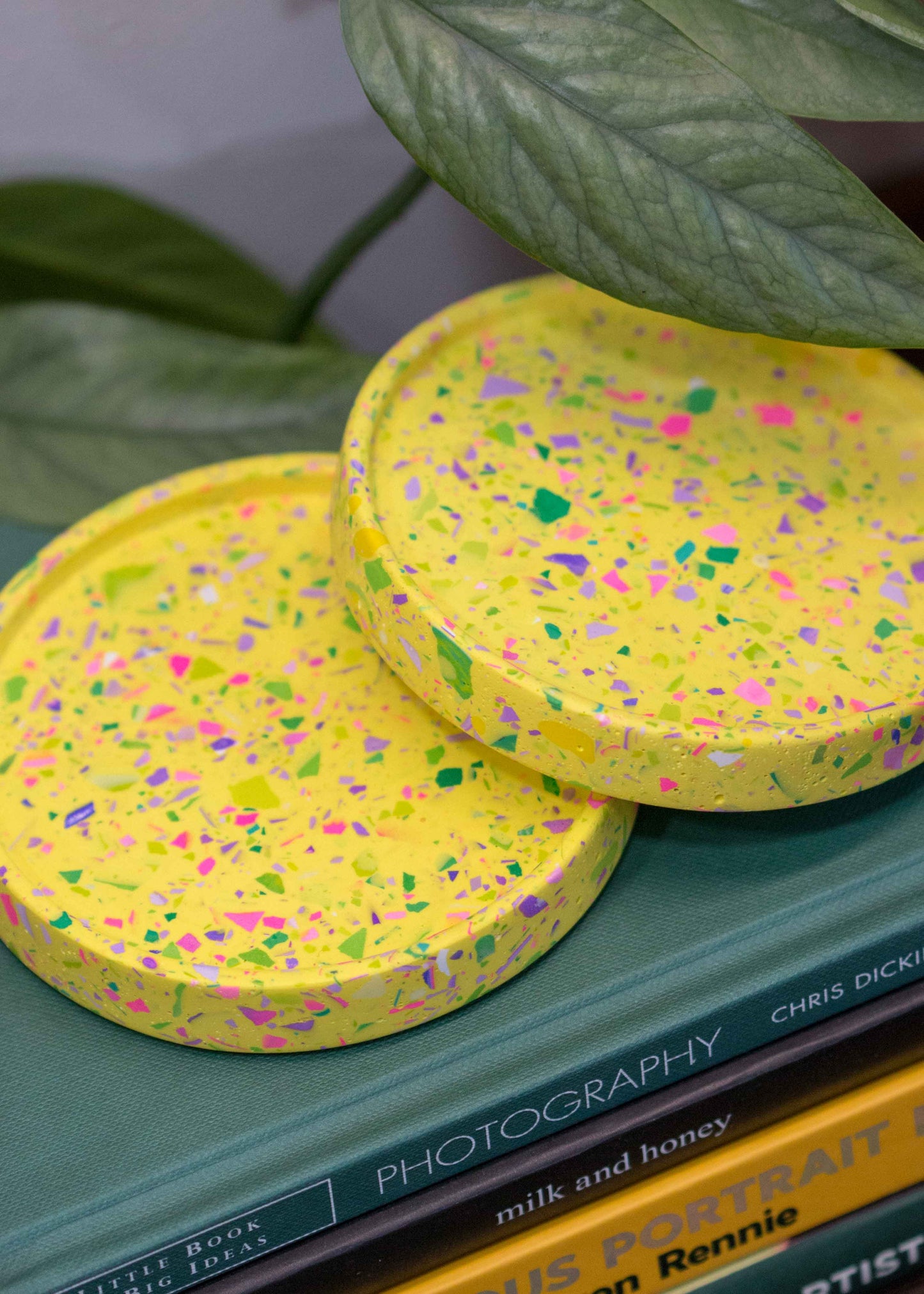 XS circular tray