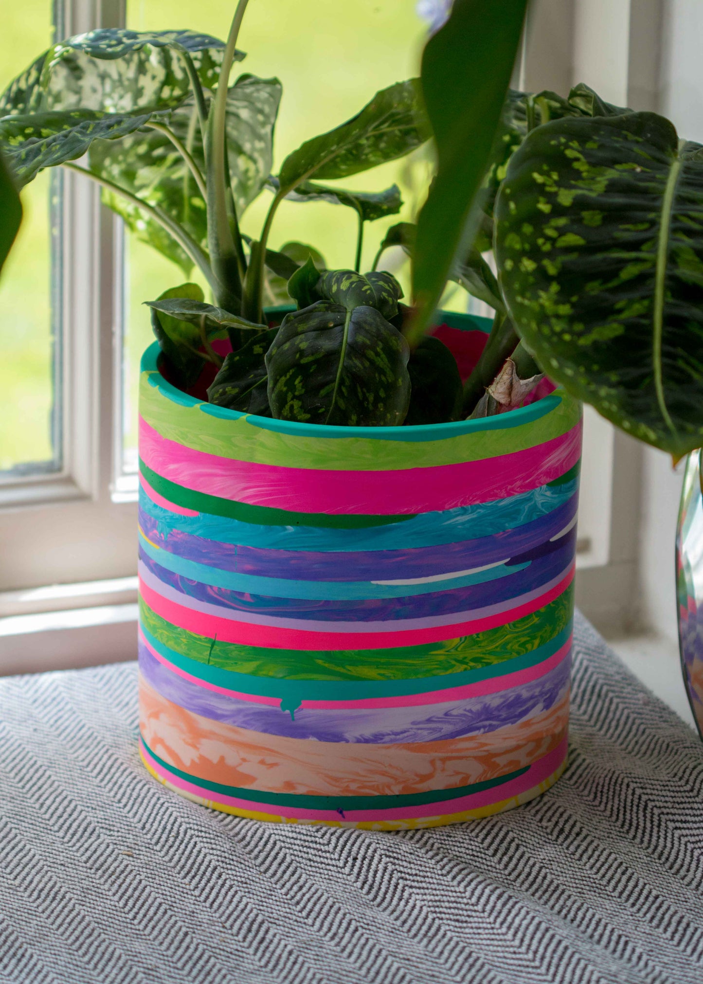 XL 'NO WASTE' planter