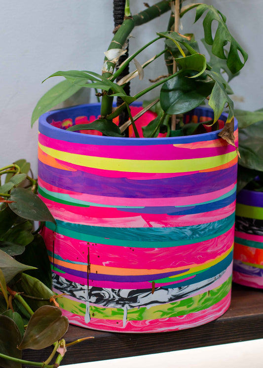 XL 'NO WASTE' planter