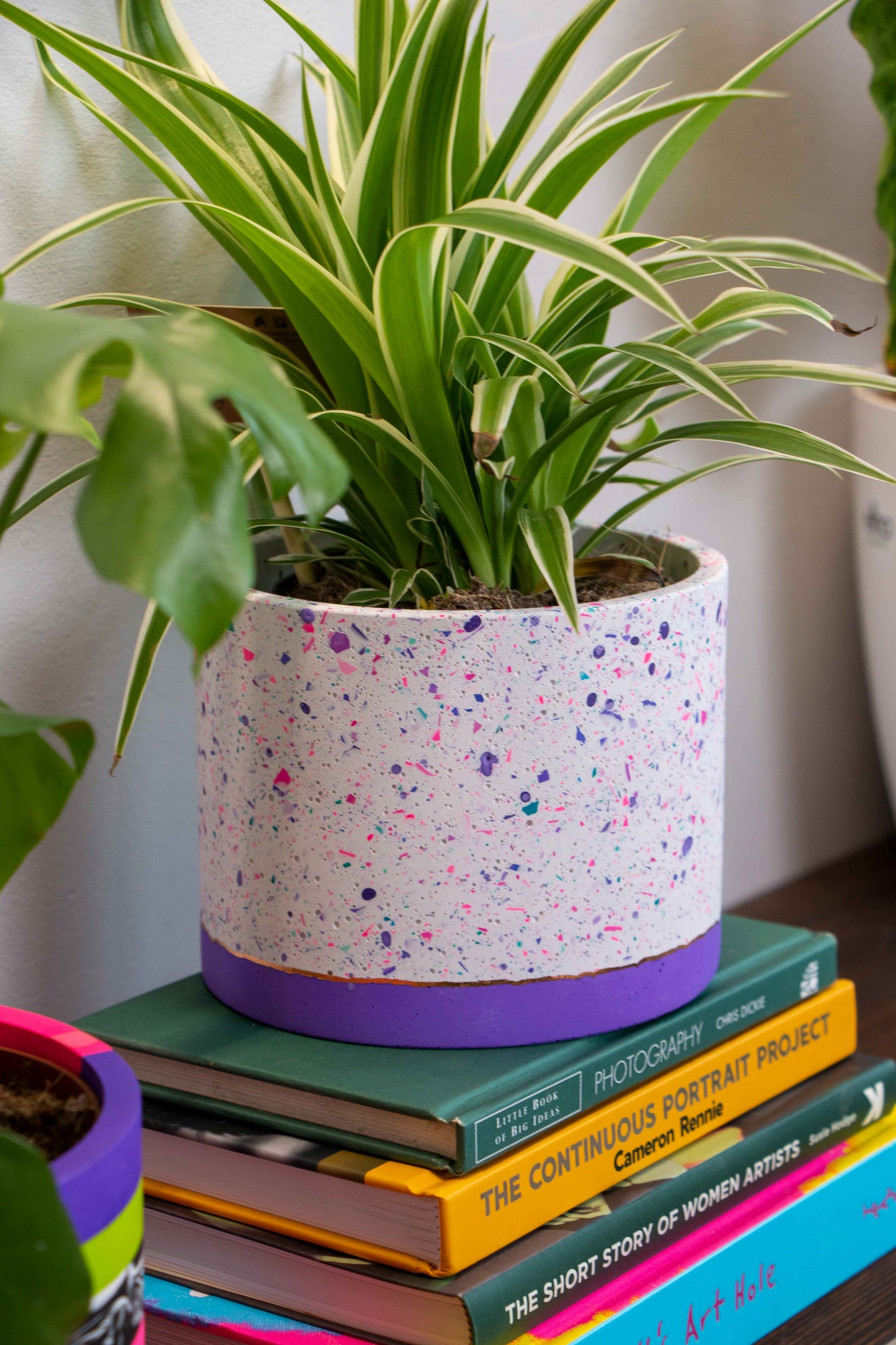 Funfetti medium planter