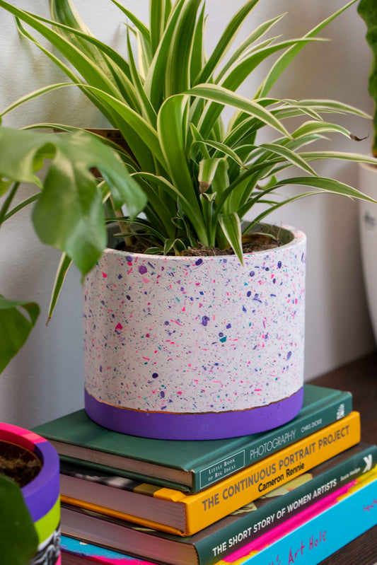 Funfetti XL planter