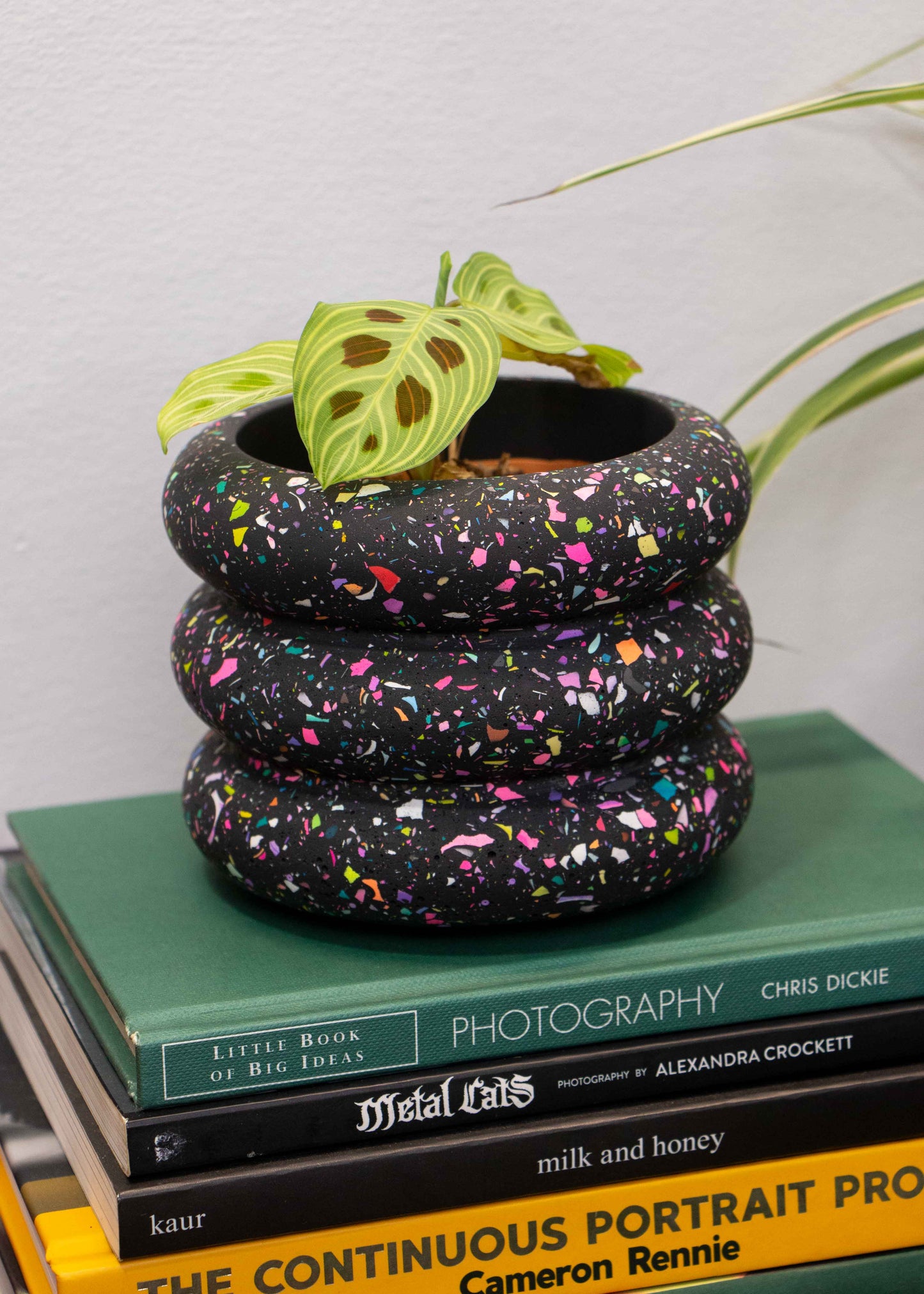 Terrazzo bubble planter