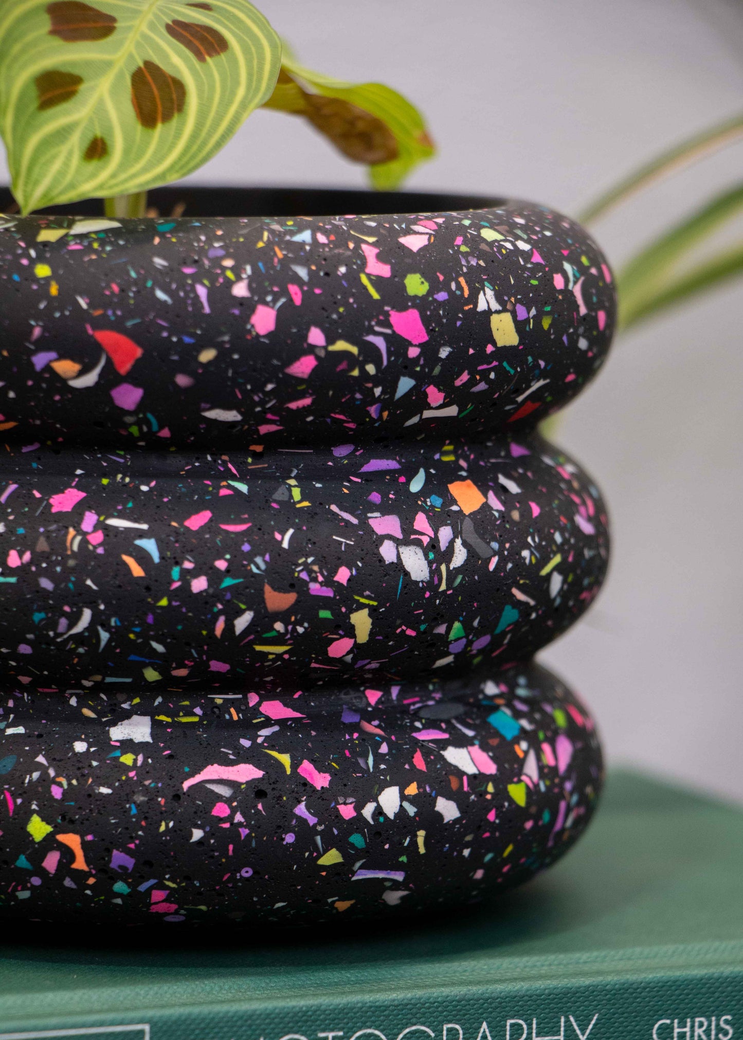 Terrazzo bubble planter