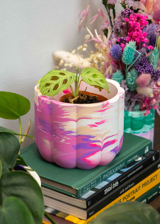 Marble bumpy planter