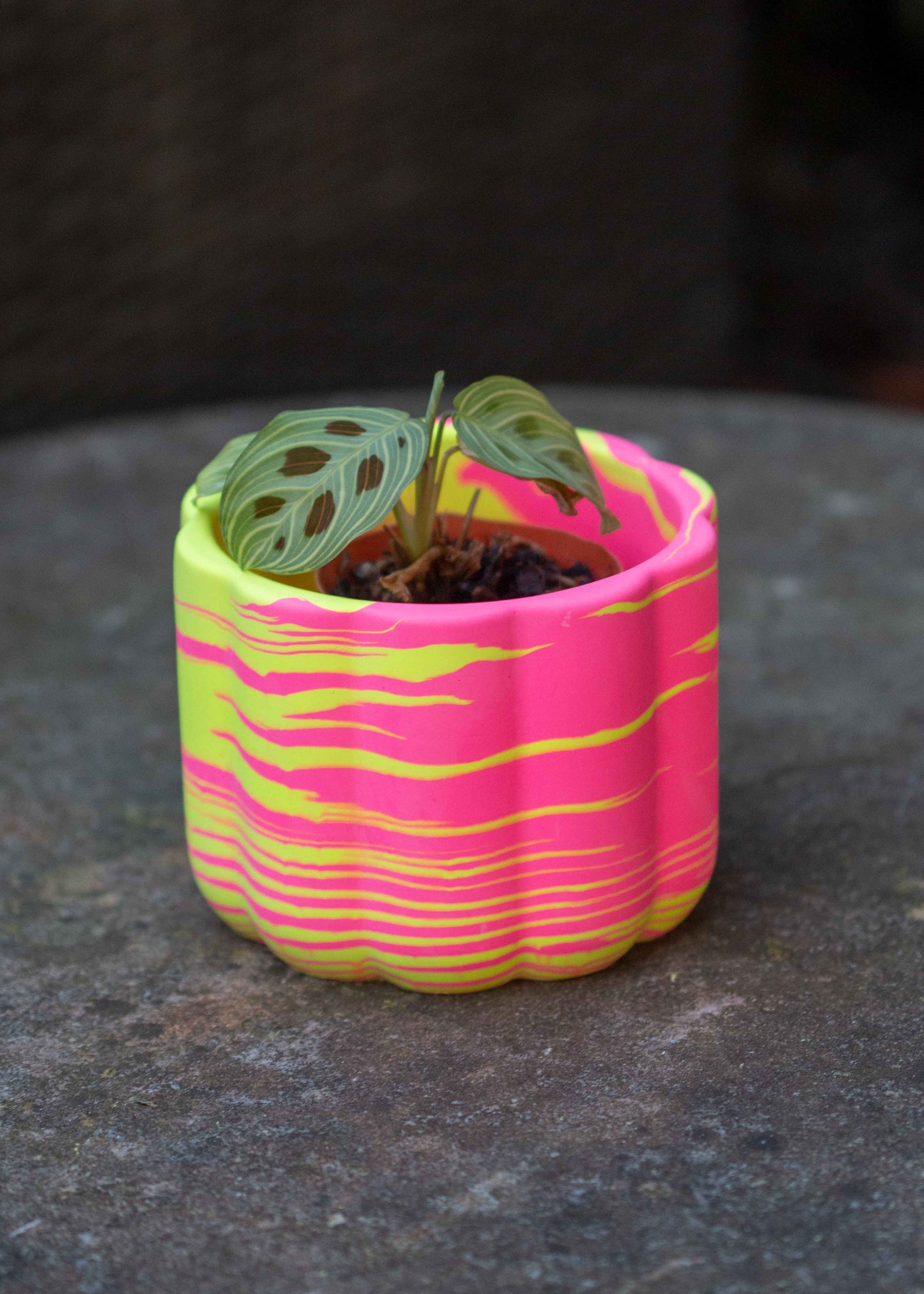 Neon marble bumpy planter
