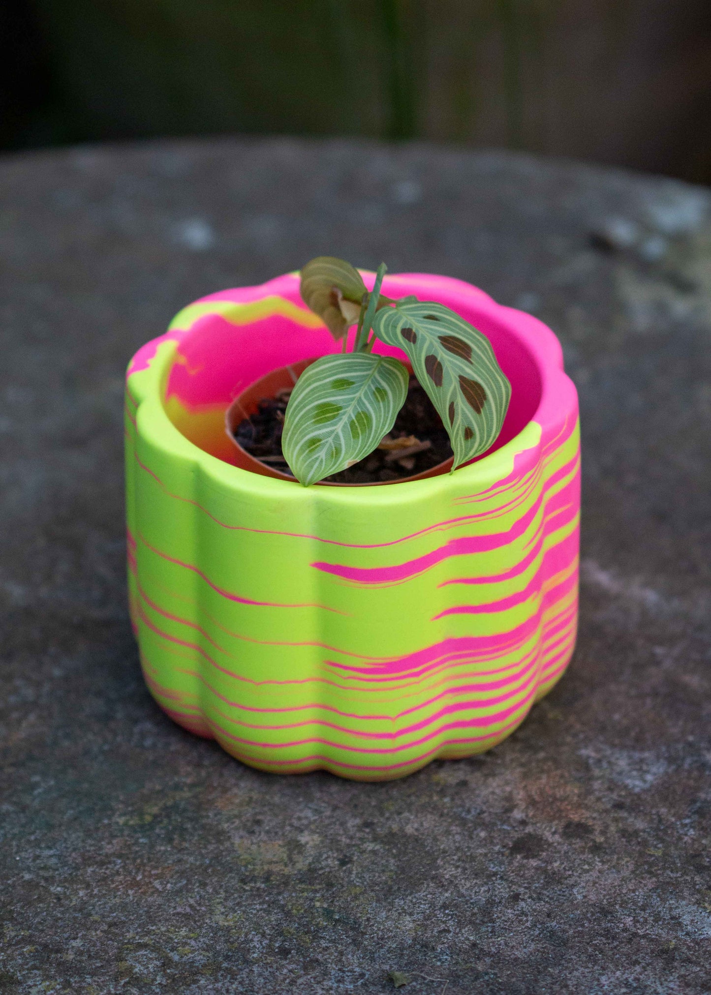 Neon marble bumpy planter