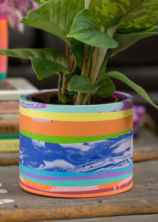 Medium NO WASTE planter