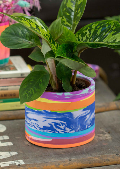 Medium NO WASTE planter