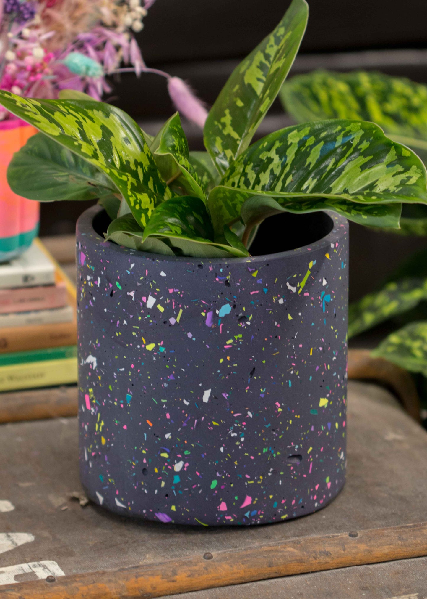 Large NO WASTE Terazzo planter