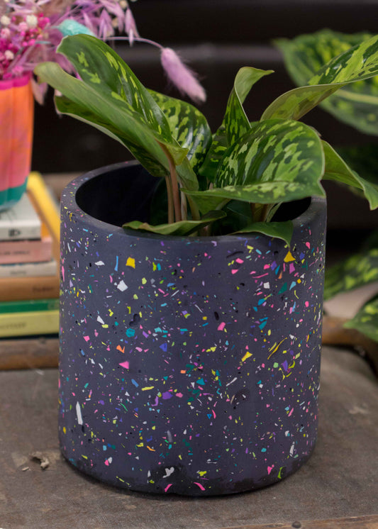 Large NO WASTE Terazzo planter