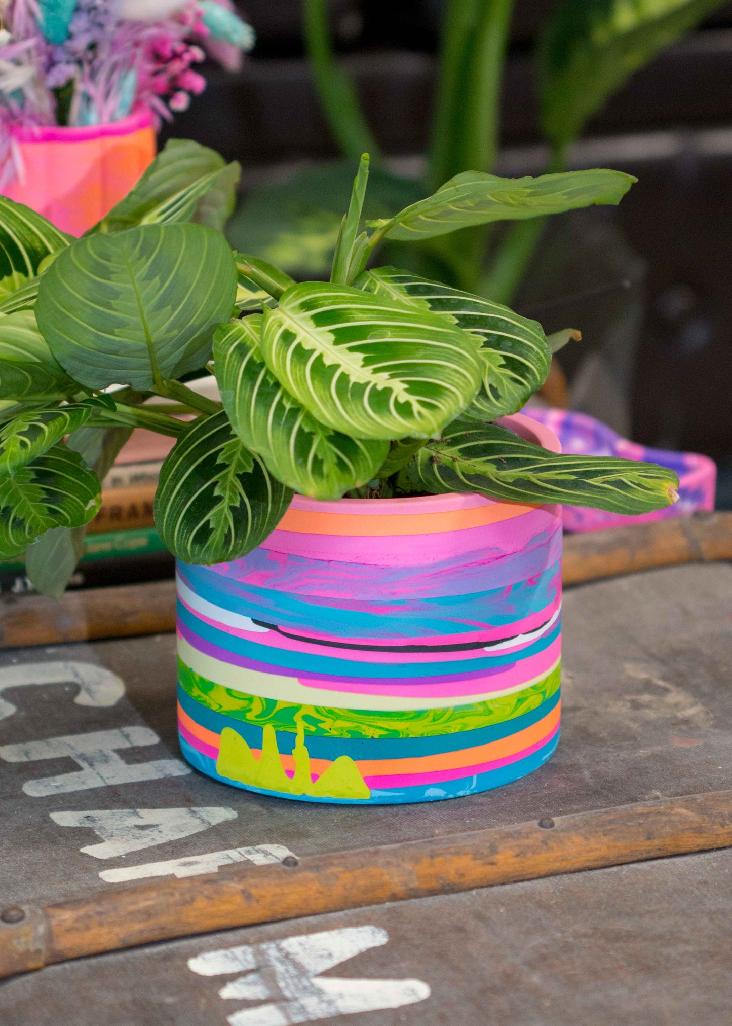 Medium NO WASTE planter