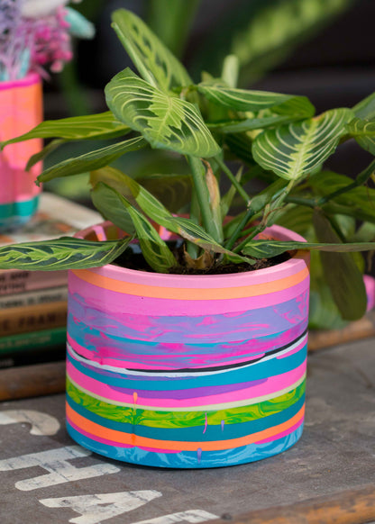 Medium NO WASTE planter