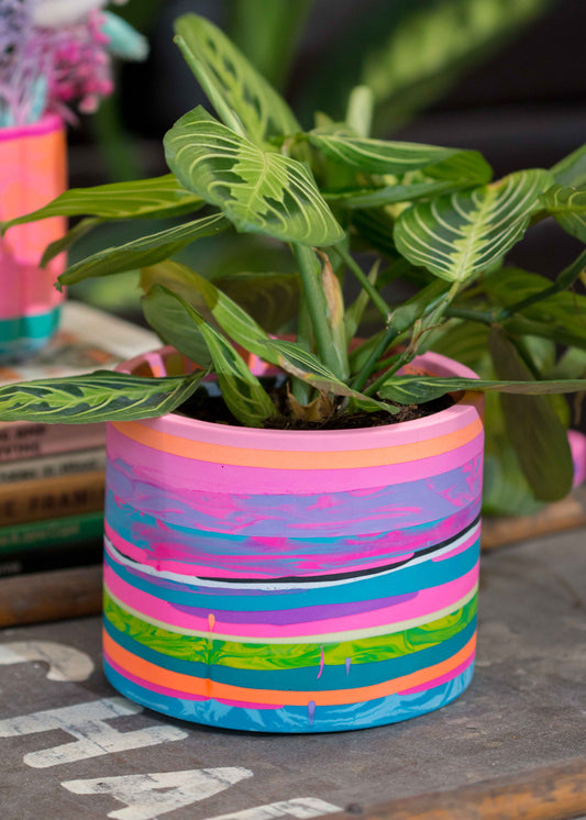 Medium NO WASTE planter