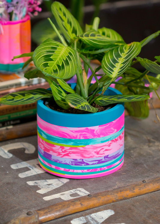 Medium NO WASTE planter