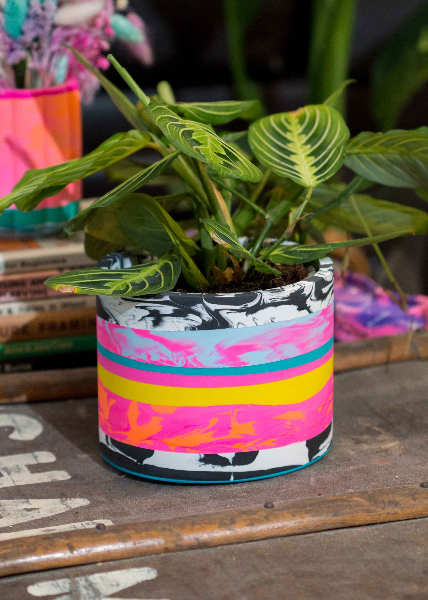 Medium NO WASTE planter