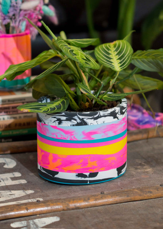 Medium NO WASTE planter