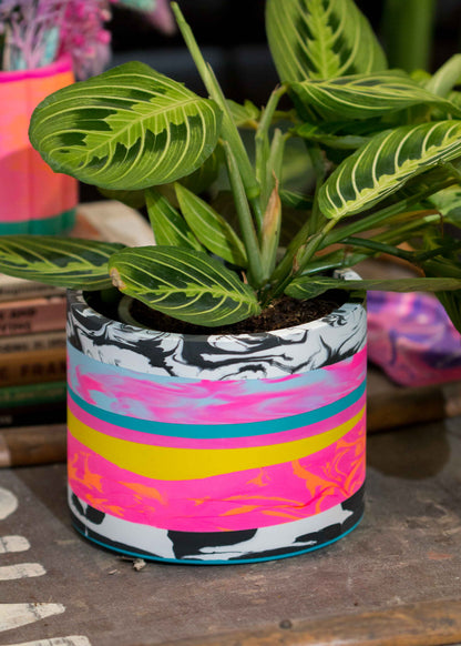 Medium NO WASTE planter