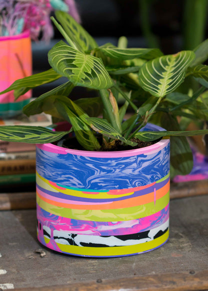 Medium NO WASTE planter