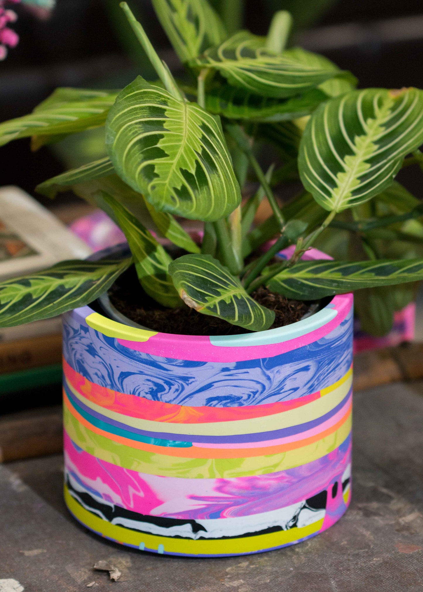 Medium NO WASTE planter