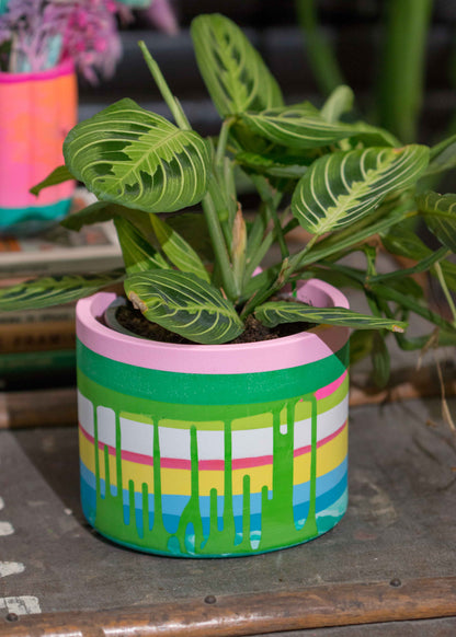 Medium NO WASTE planter