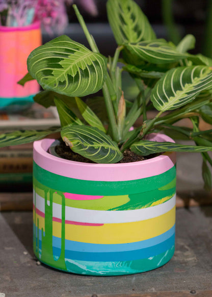 Medium NO WASTE planter