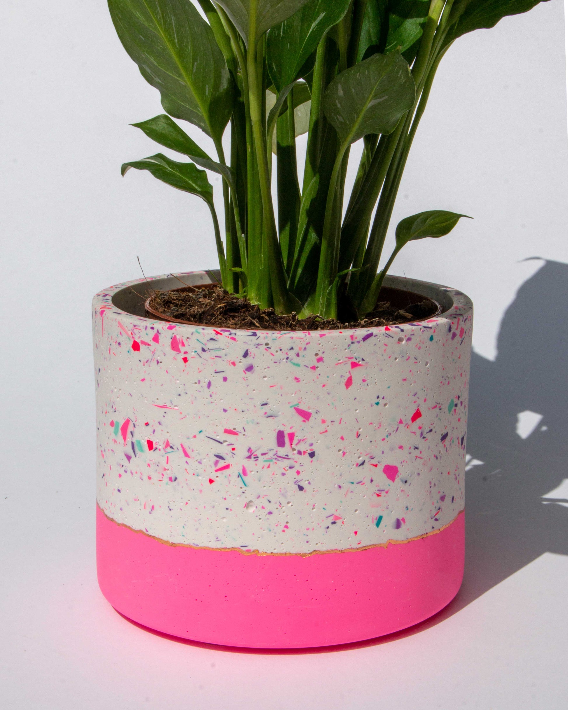 medium plant pots Funfetti medium planter – AlexMarieArtistry